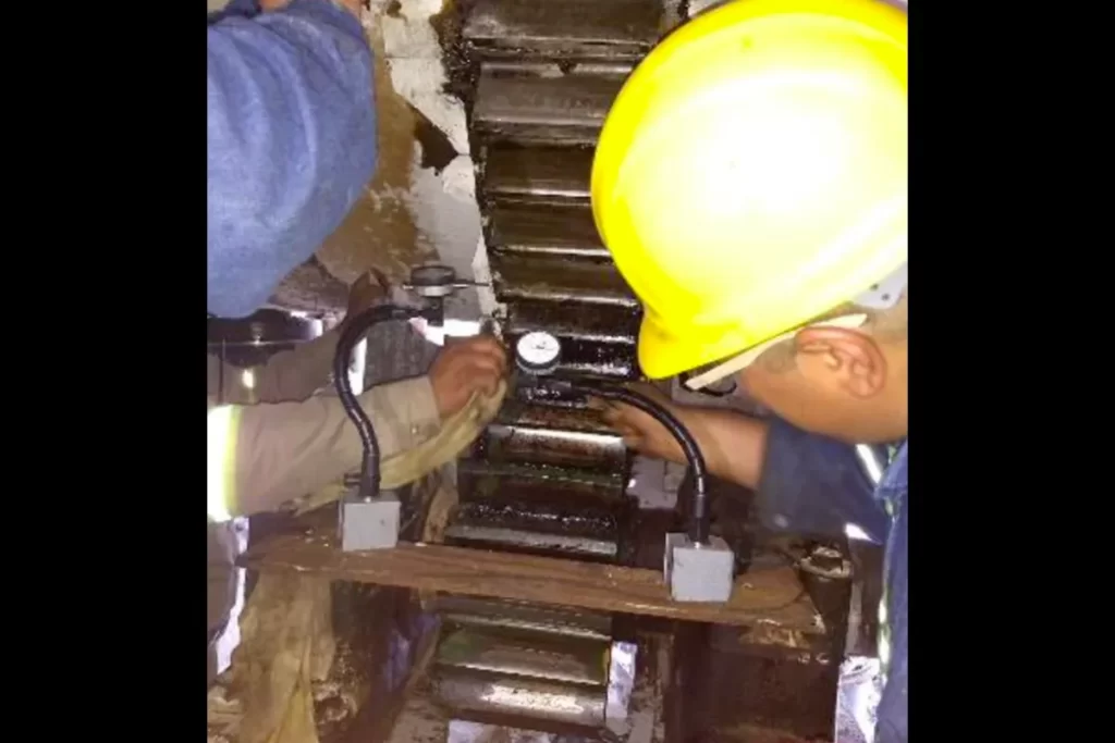 Evaluación en campo