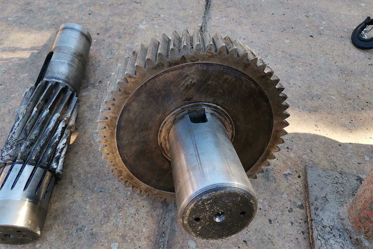 Inspección en sitio