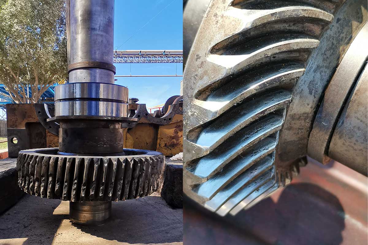 Inspección en sitio Corona